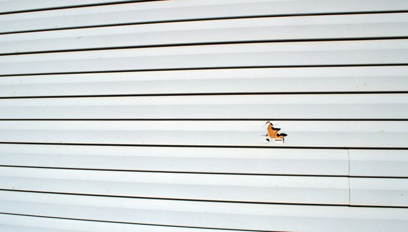 Fall Siding Maintenance