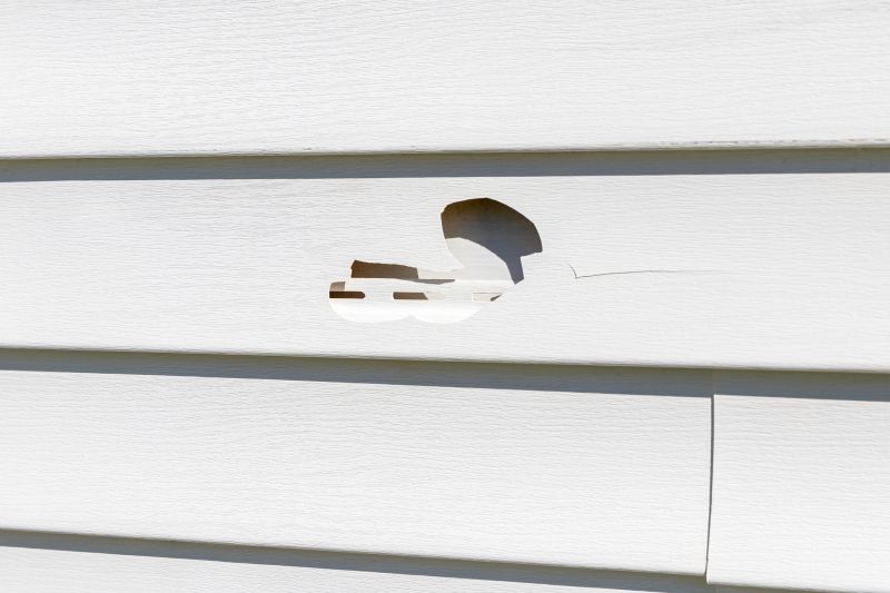 Damaged Vinyl Siding